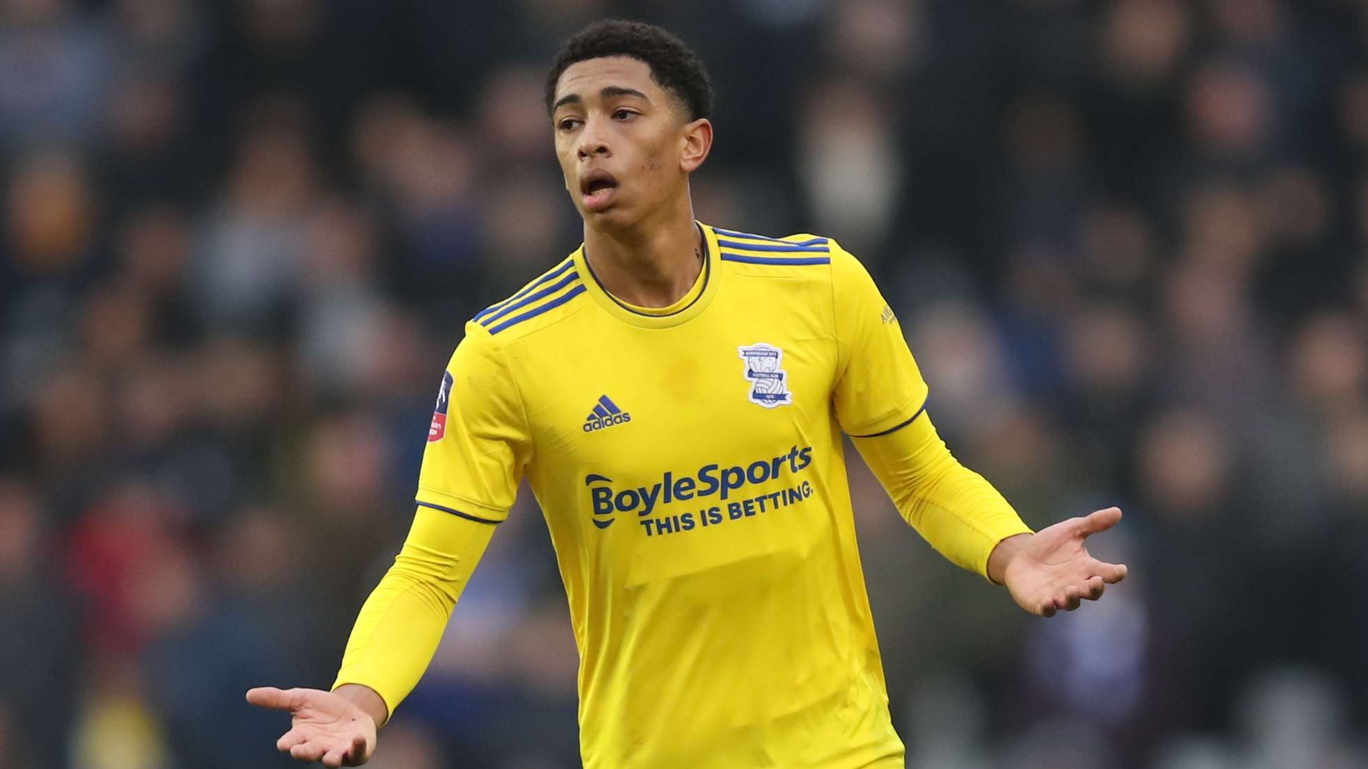 都会激起观 都会激起观