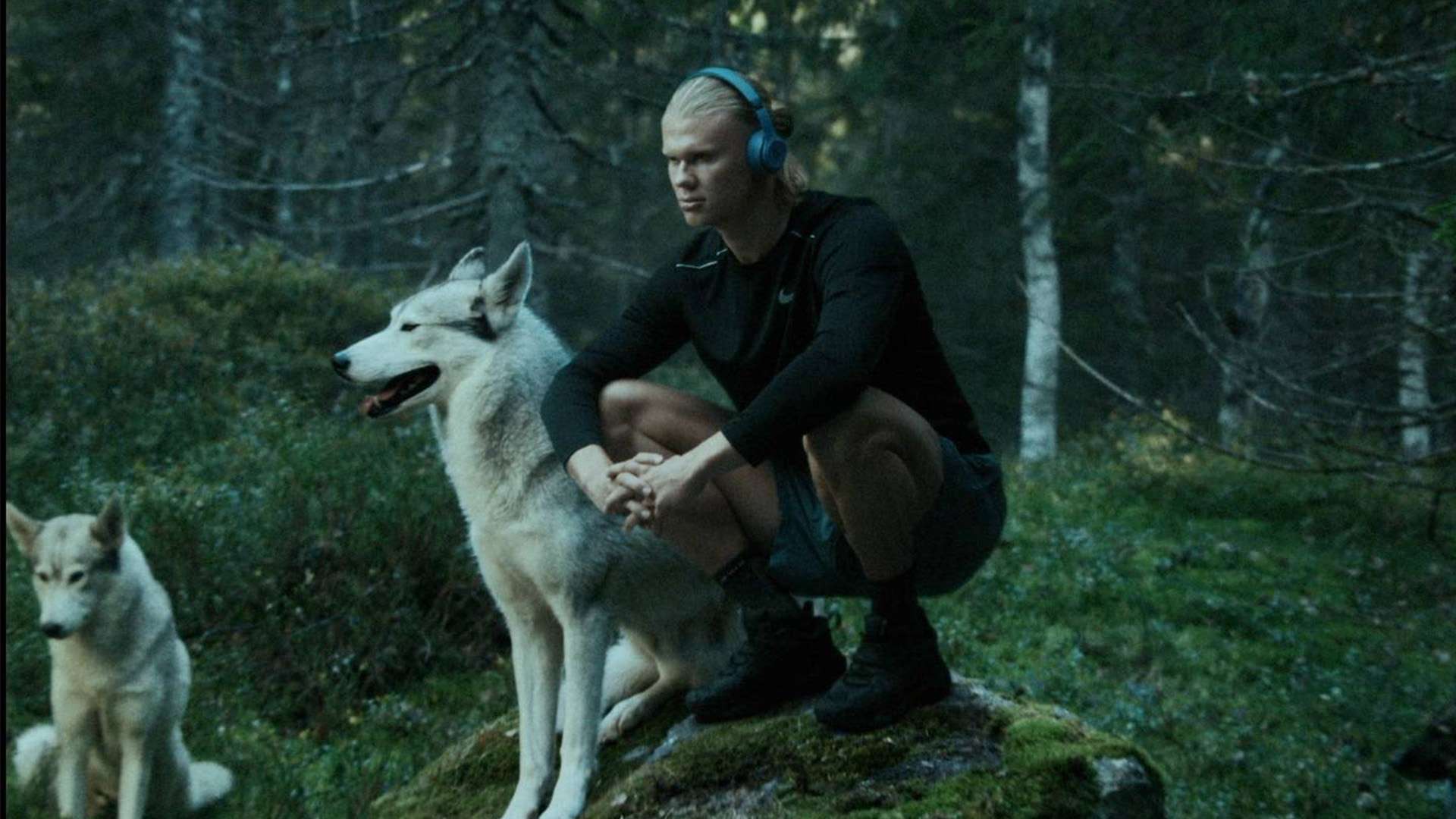 负面情绪 负面情绪